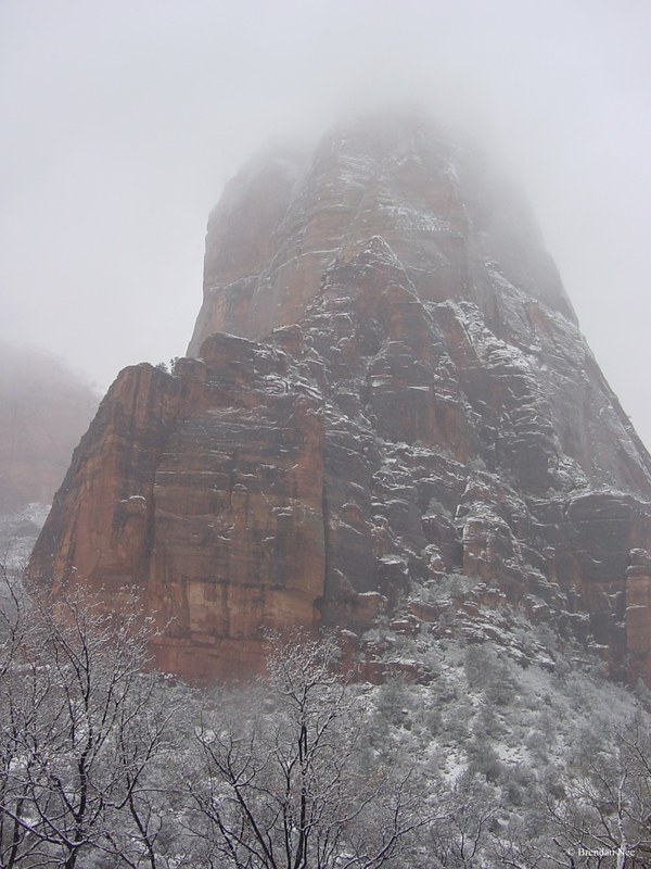Zion National Park - Zion National Park 1-05 499